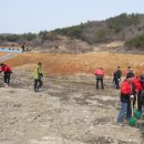 무안영산 이미지