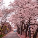 고래문화가 있는날 이미지