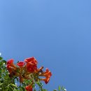 산들바람 이미지