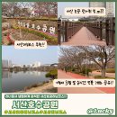 서산시민공원 | [운동] 봄바람 맞으며 달리기 좋은곳! 서산 호수공원 조깅 코스 후기 (+실시간 서산 호공 벚꽃 공유)