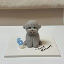 연제구-140 | [부산 연제구] 나의 반려견을 위한 특별한 하루, 수제 케이크 선물 &#39;케이센트 cakscent&#39;