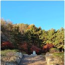 옥천동 8-10 이미지