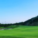 오펠골프클럽 이미지