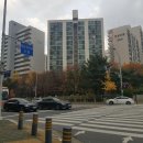 진영동물약국 이미지