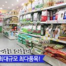 백평애견용품