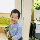 선부고려소아과의원 Daum카페