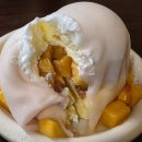 토터스