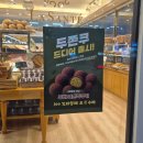 해동메디칼 | [창원] 석전동 우연히 발견한 두쫀쿠 맛집 ‘라상떼과자점’ 내돈내산 솔직후기