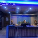 킹덤스포렉스 네이버블로그