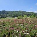 첼린저당구장 이미지