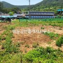 봉래면사무소 이미지