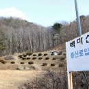 김창식효자문 이미지