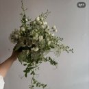 W8. 대구 웨딩촬영 부케 대명동 꽃집 '듀플레르' 2개 제작 내돈내산 후기