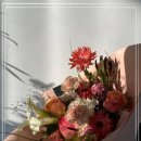 스튜디오;꽃들 이미지