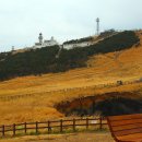 아이로제주 이미지