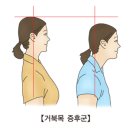 포그로스PT&필라테스광명