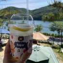 멍블라썸 이미지