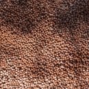 바람공원_R 이미지