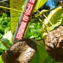 해원농장 이미지