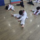 국제키즈태권도 이미지