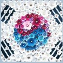 합기도제주중앙 이미지