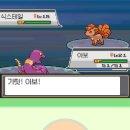 금빛체육관