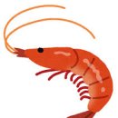 홈파티요리 이미지