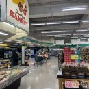 푸드랜드 티스토리