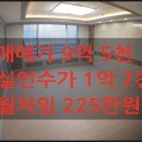 하대동234 이미지