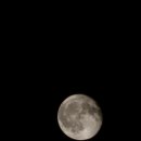 플라워 펜션 이미지