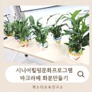냅킨 아트 화분 만들기 | 인천안산시화 어르신원예체험수업활동추천 마크라메화분만들기 냅킨아트 도서관시니어힐링프로그램