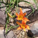 중앙메디칼보청기 이미지