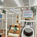 이마트에브리데이 쌍문동점 이미지