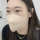 펄미에이트 이미지