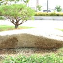 사비농장 이미지