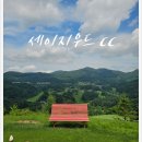 세이지우드 CC 홍천 | [세이지우드cc_홍천] 세이지우드cc 라운딩 후기 27홀코스 (비전 - 첼린지 - 드림) 그늘집 레스토랑조식...