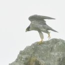 서귀포도립해양공원 이미지