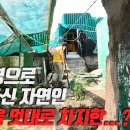 윤택 TV : 오지객 2 이미지