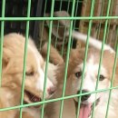 주식회사 여수와 이미지