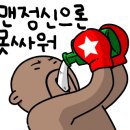 준 복싱클럽 이미지