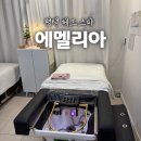 평택성동초등학교 | 평택 헤드스파 에멜리아 두피케어 힐링하고 온 솔직후기