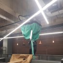 비온탑스터디카페여수신기점