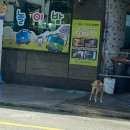 드렁큰 샐러드 이미지