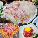 청기와 개미집 | 부산 먹방여행(내돈내산) 자갈치시장 생선회/연탄불 산꼼장어/한우 육회
