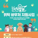 해피투개털 이미지