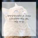 한샘정형외과의원 이미지