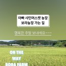 새인농장 이미지