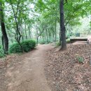 이인현선생묘 이미지