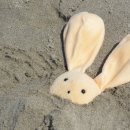 알아이디