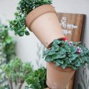 이풀실내정원 이미지